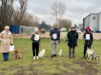 LUPUS Szkolenie Psów- instruktor-behawiorysta- zoopsycholog